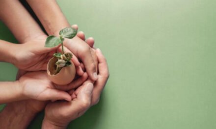 Which Countries Practice Sustainable Tourism?