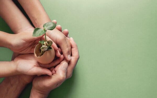 Which Countries Practice Sustainable Tourism?