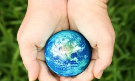 What is the Most Sustainable Form of Travel?