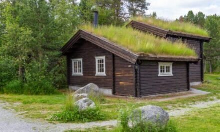 Traveling Responsibly