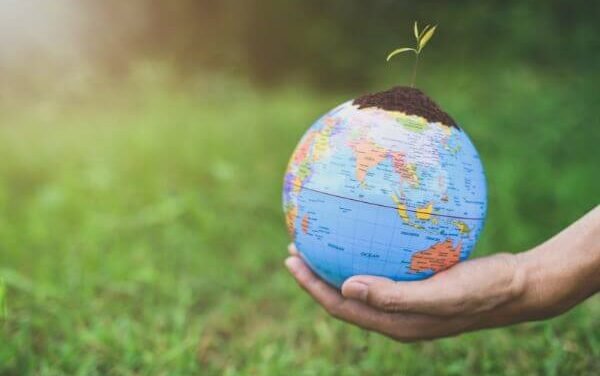 What Are the Three Pillars of Responsible Tourism?