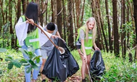 Best Examples of Responsible Tourism