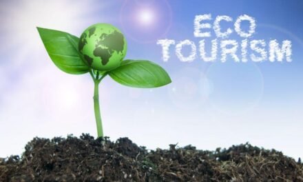 Why is Sustainable Tourism a Trend?