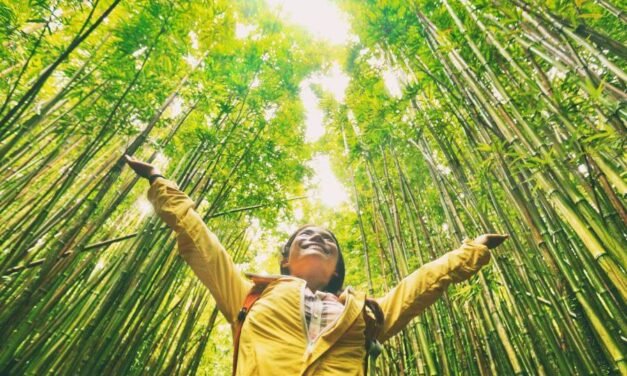 Disadvantages of Sustainable Tourism